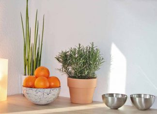 After Effects Guru: Tracking and Stabilizing Footage